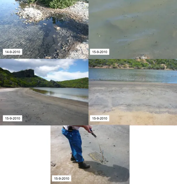 Figure 10 Impression of deposited debris on the water surface (top), on the shores of the  Saliña’s (middle), and an impression of debris sampling ( bottom)