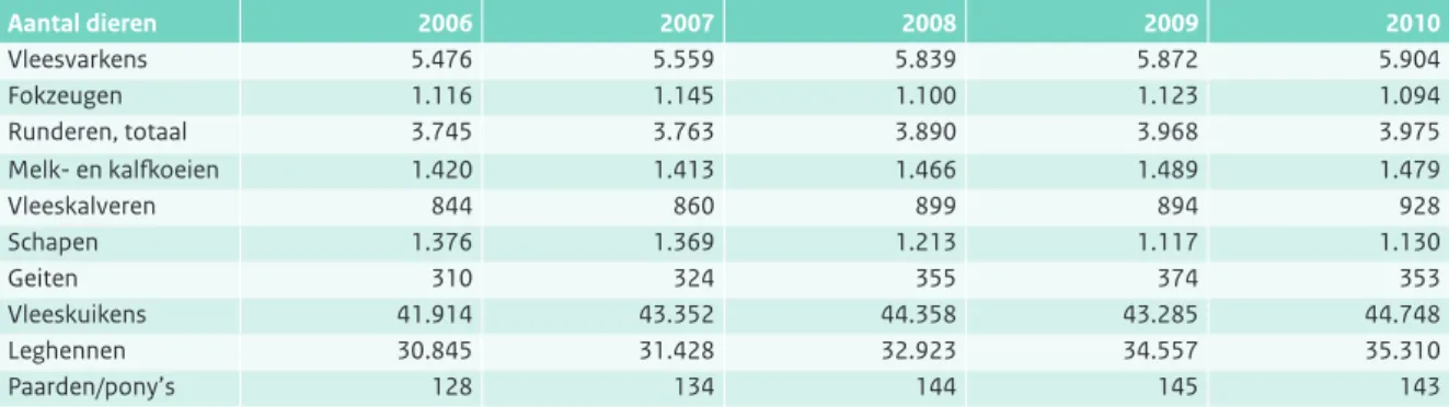 Tabel 2.1.3 Aantal bedrijven over de laatste vijf jaar (Bron: CBS).
