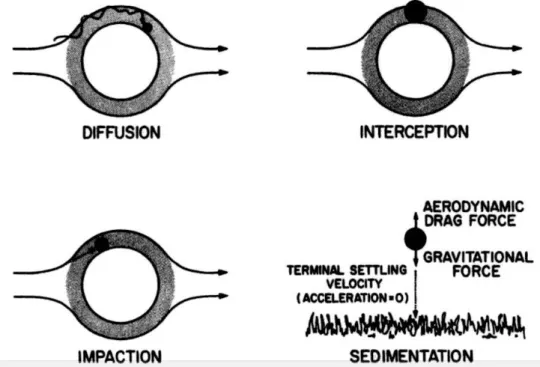 Figuur 2  Schematische weergave van de interactie tussen deeltjes,  stroming en een obstakel (bron: Davidson en Wu (1989))