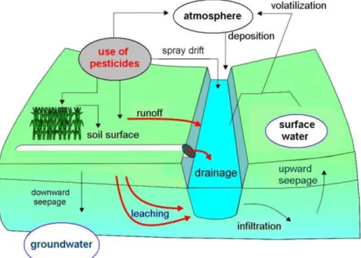 Figure 1 Main processes involved in loading of edge-of-field surface waters with  plant protection products