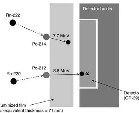 Figuur 7 Schematische weergave van Japanse progeny detector; totale dikte  detector is slechts circa 0,5 cm 