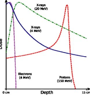 Figure 5: Energy transfer (dose) of different types of ionising radiation against  depth in tissue