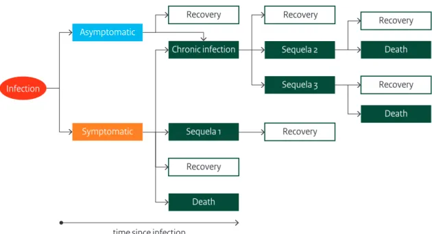 Figure 3.1 An outcome tree linking infection to all associated health outcomes. The outcome tree displays  how individuals progress through various disease stages from acute infection through sequelae and  death