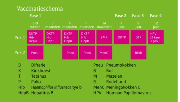 Figuur 1 Vaccinatieschema van het RVP vanaf 2014 Wijzigingen in het vaccinatieschema