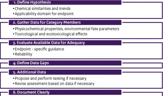 Figure 5  ECHA Guidelines for Read-across and Grouping 