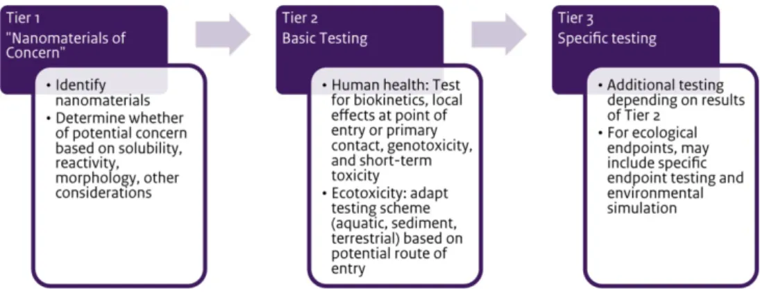 Figure 6  (Eco)Toxicity Testing Scheme Discussed by the NanoSafety Cluster  Working Group 10 