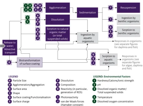 Figure 7  Environmental Transport and Exposure Pathways 