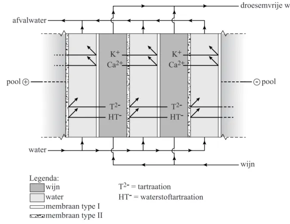 figuur 2  + -Ca2+ T 2  -HT-K+ Ca 2+T2-HT-K+ Legenda: wijn T 2 - = tartraation HT- = waterstoftartraationpoolafvalwaterwater poolwijn droesemvrije wijnwater membraan type I membraan type II