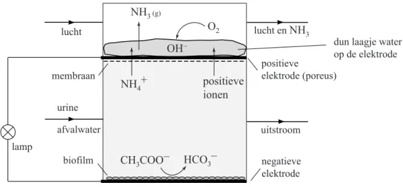 figuur 1  CH 3 COO _ HCO 3 _ positieveionenNH4+NH3 (g)lucht lucht en  NH 3afvalwateruitstroomnegatieve elektrodepositieve elektrode (poreus)biofilm