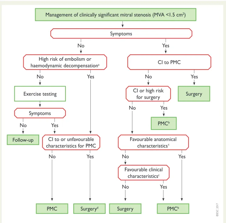 Figure 5 Management of clinically significant mitral stenosis. CI = contra-indication; MS = mitral stenosis; PMC = percutaneous mitral commissurotomy.