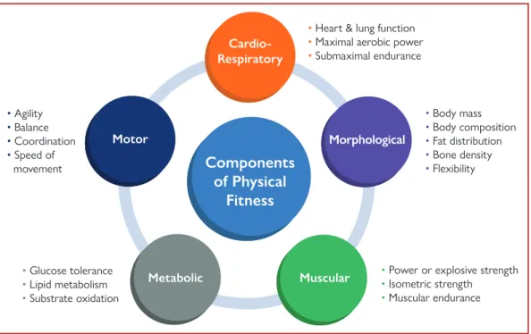 Figure 1 Components for expression of physical fitness.