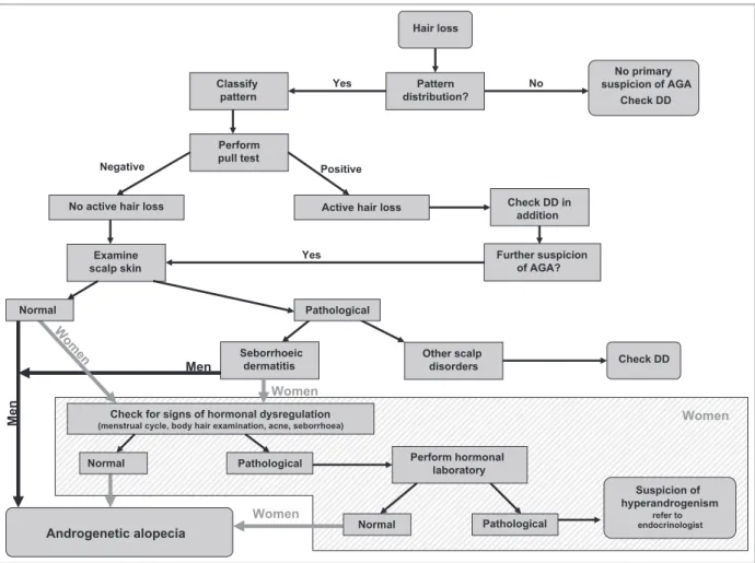 Fig 6. Clinical algorithm for the diagnosis of androgenetic alopecia (AGA). DD, differential diagnosis.
