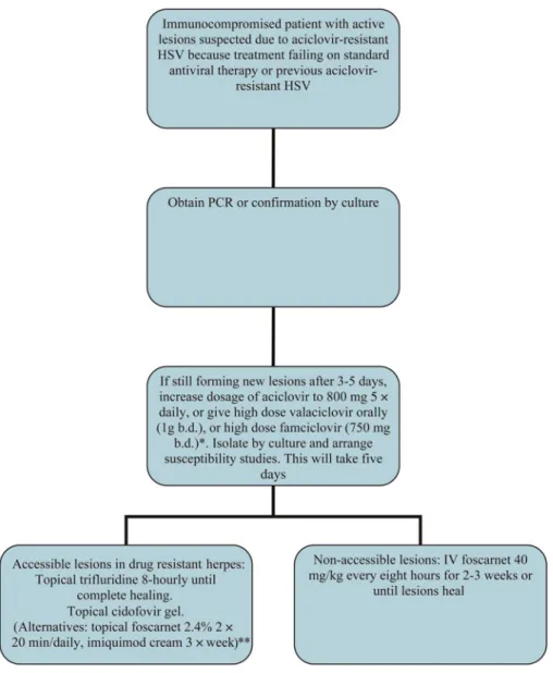 Figure 1 Algorithm for the treatment of herpes in immunocompromised individuals. HSV¼ herpes simplex virus; PCR¼ polymerase chain reaction; b.d.¼ twice daily
