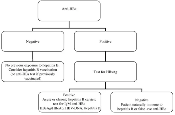 Figure 1 Flow chart for hepatitis B screening using serum anti-HBc