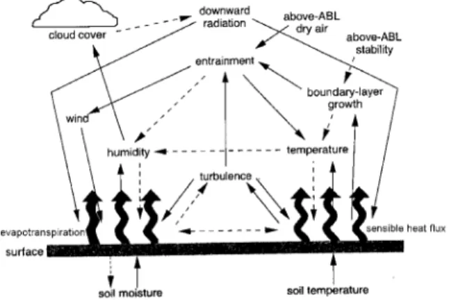 Figure 4. Diagram showing important interactions between the land-surface and atmospheric  boundary layer for conditions of daytime surface heating (Ek and Holtslag, 2004)