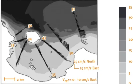 Fig. 2: Tidal flow patterns in the bay during eastward flow with flow maxima above the submarine  Ciujung delta platform and with large velocity shears north of the delta