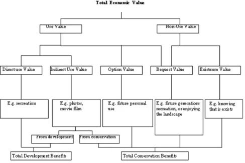 Figuur 1: Een schematische weergave van economische waardecategorieën verbonden aan collectieve goederen