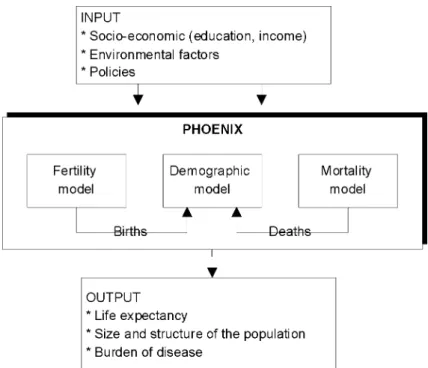 Figure 5. Overview of the population and health model developed by RIVM and the University of Groningen