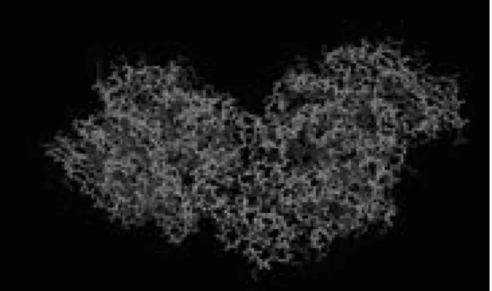 Figure 3. Three-dimensional structure of the enzyme sucrose phosphorylase 24 Why are nanobots supposed to be dangerous?