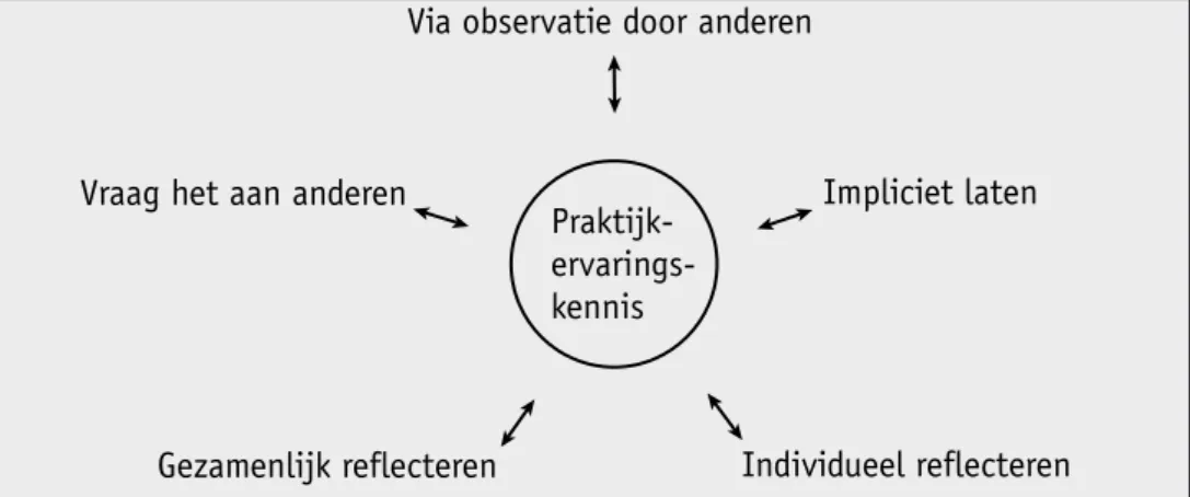 Figuur 3 Praktijkervaringen van professionals