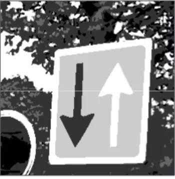 Figuur 2.1: het verkeersbord bij de brug  in Aldtsjerk.