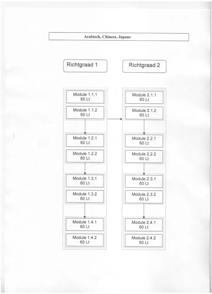 Grafisch voorgesteld zien de respectieve leertrajecten er als volgt uit: 