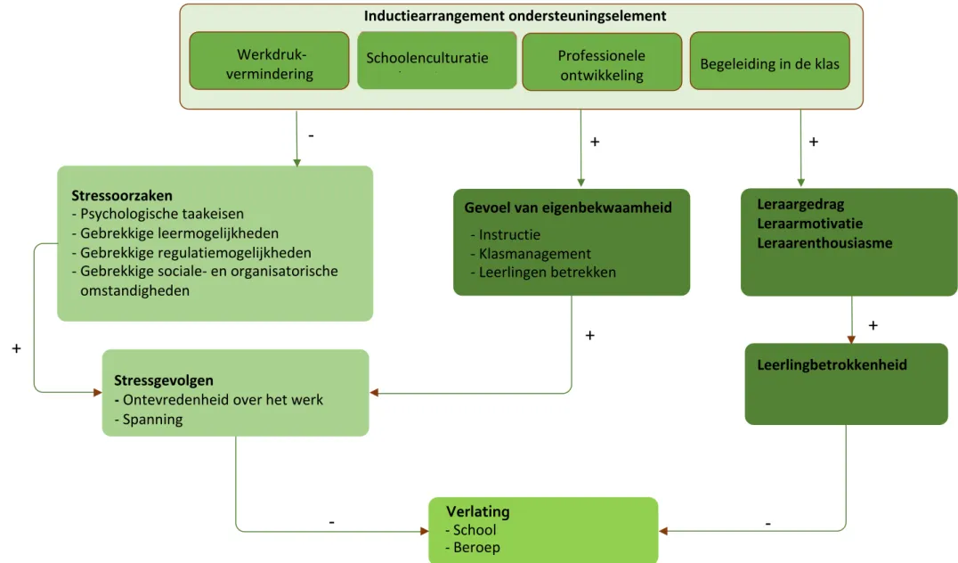 Figuur 1.1: Conceptueel model van de invloed van begeleidingselementen op welbevinden, schoolverlating en professionele ontwikkeling 