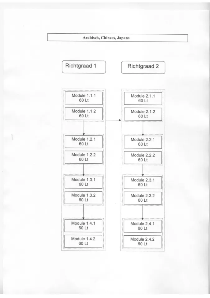 Grafisch voorgesteld zien de respectieve leertrajecten er als volgt uit: 