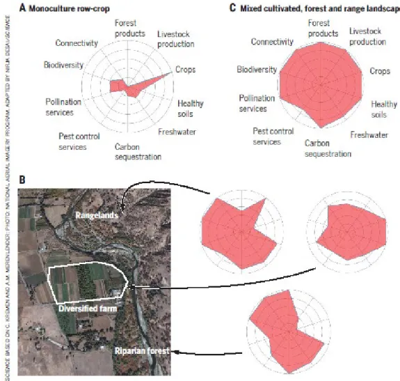 Figure 5: Example of a shared (working) landscape - in the case of agricultural land. From Kremen and Merenlender,  2018