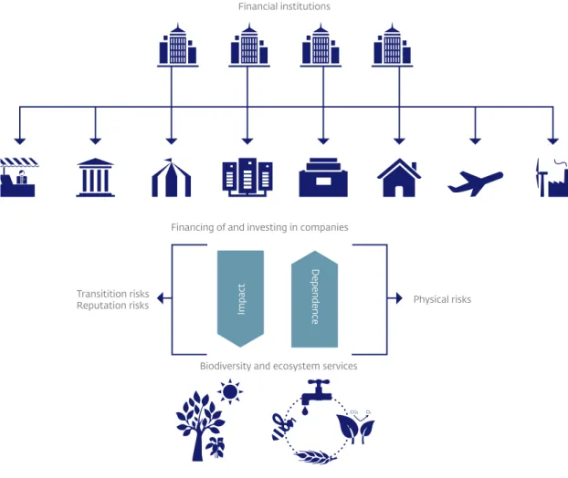 Figure 1  Relationship between financial sector, economy, biodiversity and  ecosystem services