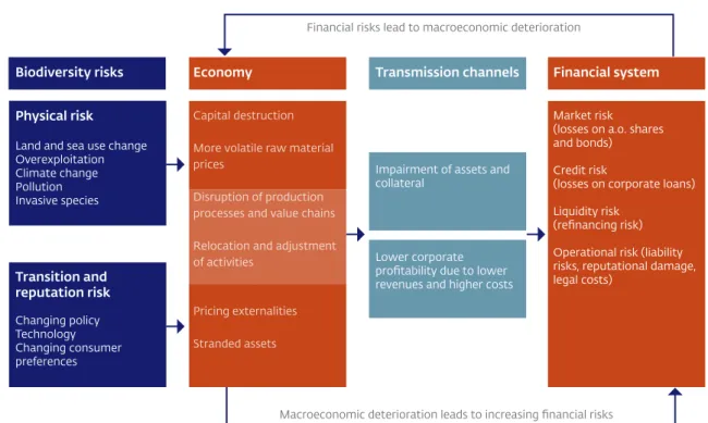 Figure 2  From biodiversity risks to financial risks