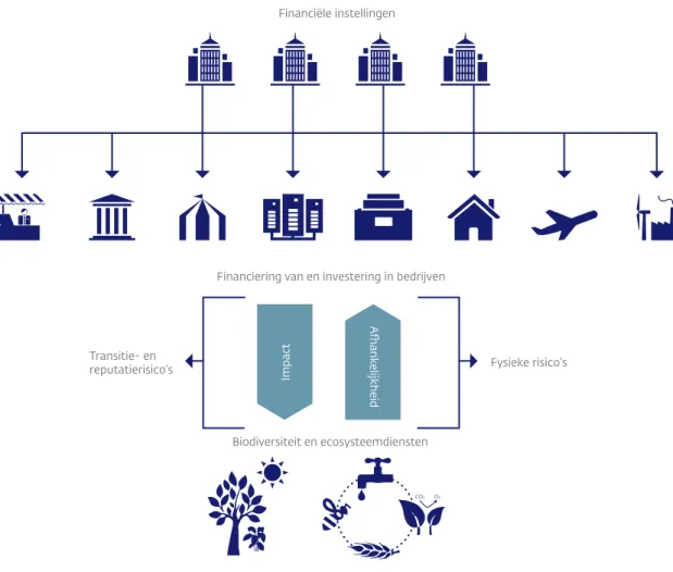 Figuur 1  Relatie tussen de financiële sector, de economie, en biodiversiteit en ecosysteemdiensten