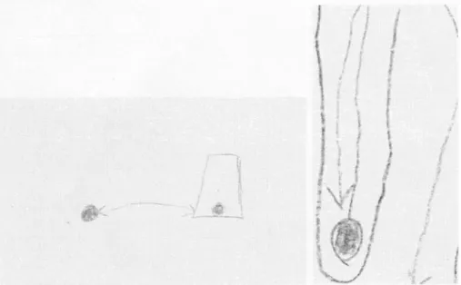 Figuur 2.  Dynamische schematisering. Twee kinderen probeerden te representeren dat de onderzoeker  een rode knikker uit een potje haalde en er een groene in deed.