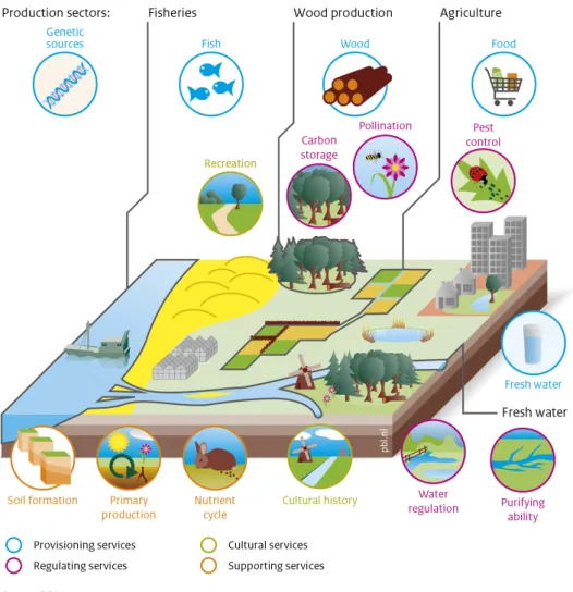 Figure 2.2: Various ecosystem services positioned in a production landscape 