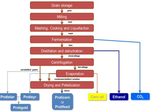 Figure 10. Schematic presentation of the production process of Alco Energy  Rotterdam B.V