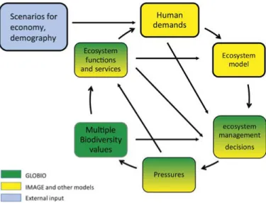 Figure 11: Flow chart of the next generation of the IMAGE-GLOBIO model framework.