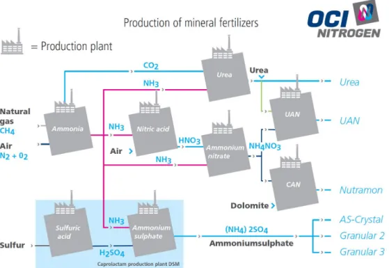 Figure 5 Overview of the production of mineral fertilisers at OCI Nitrogen B.V. 