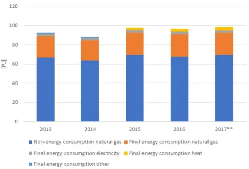 Figure 1 Final energy and non-energy consumption of the fertiliser industry of the  Netherlands in 2013–2017