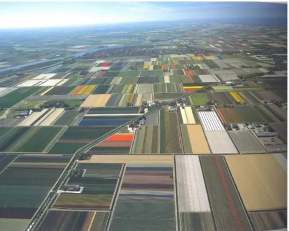 Figure 4. Anna Paulowna polder in the province of North Holland dating from 1846 (photo: 