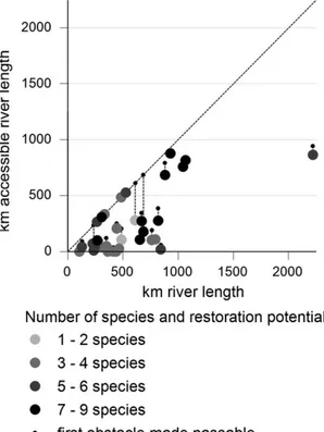 FIGURE 4 The effect of making the first obstacle accessible is expressed as the sum of the gain in DCI for all affected species (S_F, see Equation 5) plotted against the cumulative gain in km additional accessible river length for all species originally pr