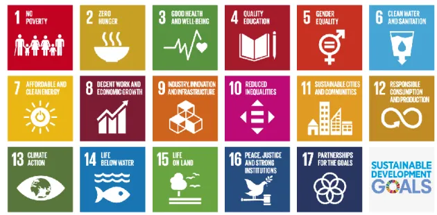 Figure 2.1  The Sustainable Development Goals  