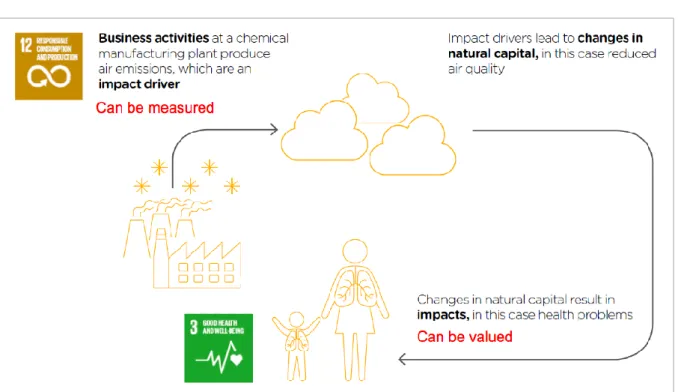 Figure 3.1  An example of a natural capital impact pathway  