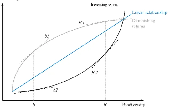 Figure 10. Illustration of relationships between biodiversity (E i ) and agricultural  productivity (E f ): linear, with increasing returns, with diminishing returns  