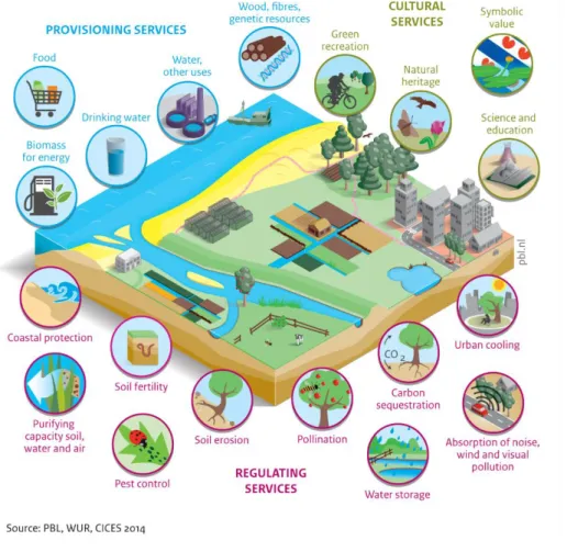 Figure 2. Overview of the various types of ecosystem services in the CICES system 
