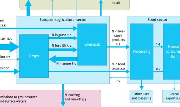 Figure S1 (A and B) Nitrogen flows in the EU agricultural and food system in the reference situation for 2004 (A) and in case of the alternative diet with 50% reduction in consumption of meat, dairy and eggs in the Greening Scenario (B) and in the High Pri