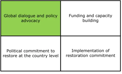 Figure 2. Global dialogue and policy advocacy as a GPFLR focus 