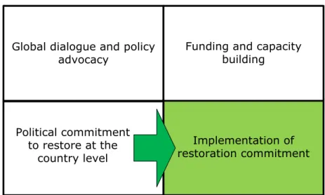 Figure 4. From commitment to implementation 