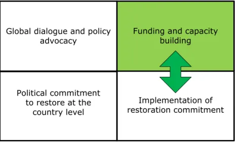 Figure 5. External support and funding for restoration 