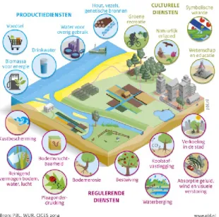 Figuur 2: Voorbeelden van ecosysteemdiensten. 