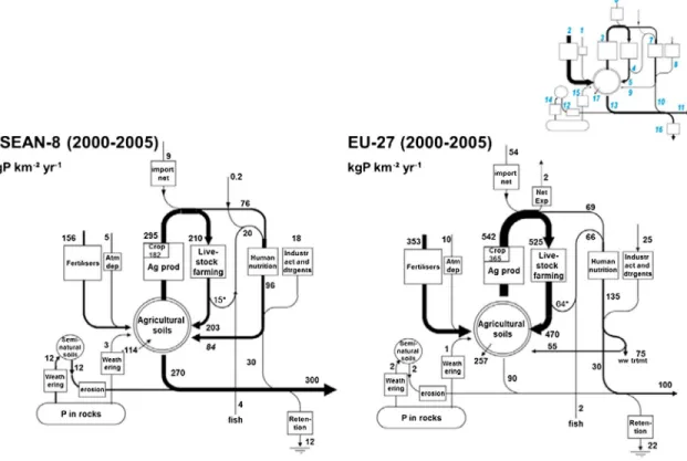 Figure 4. Water-agro-food P budget for ASEAN-8 and EU-27. The values for the agro-food systems are averaged for 2000 –2005, those for the hydrosystems are from 2000